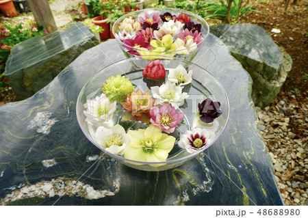 フローティングフラワー フローティングフラワー 48688980