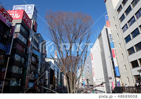 立川立川北口の繁華街 立川立川北口の繁華街 48689008