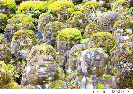 京都奥嵯峨野の羅漢 48689313