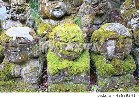 京都奥嵯峨野の羅漢 48689341