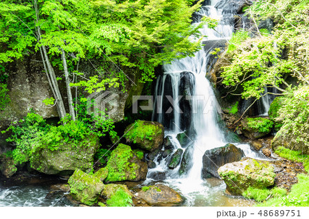 栃木　日光　新緑の竜頭の滝 48689751