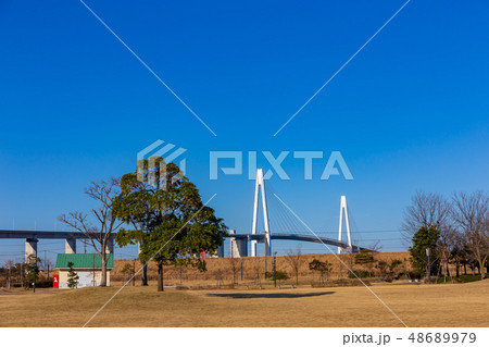 新湊大橋と元気の森公園 48689979
