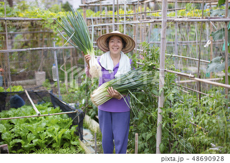 female Senior farmer with vegetables 48690928