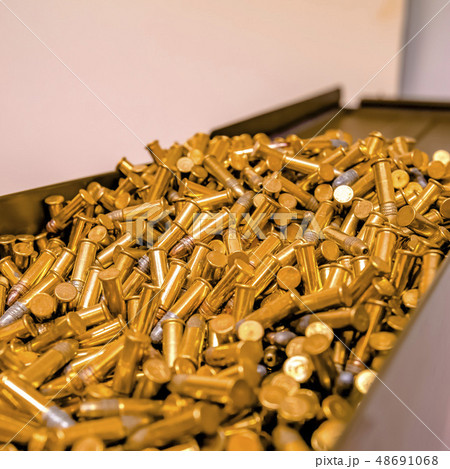Shiny golden bullets inside a metal container 48691068