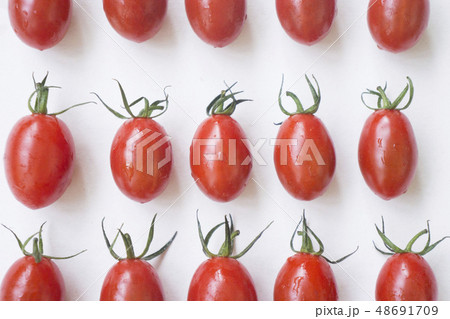 トマト ﾄﾏﾄ とまと 48691709