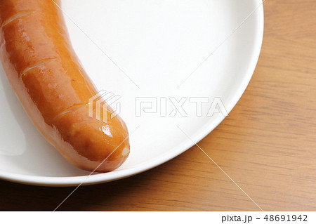 フランクフルトソーセージ1本 48691942
