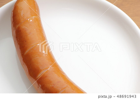 フランクフルトソーセージ1本 48691943