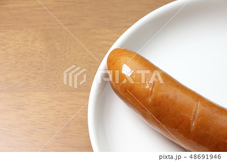 フランクフルトソーセージ1本 48691946