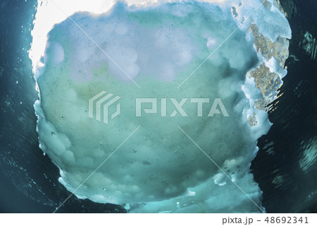 水中から見る流氷 水中から見る流氷 48692341