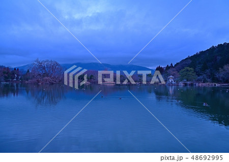 早朝の三島池の情景 48692995