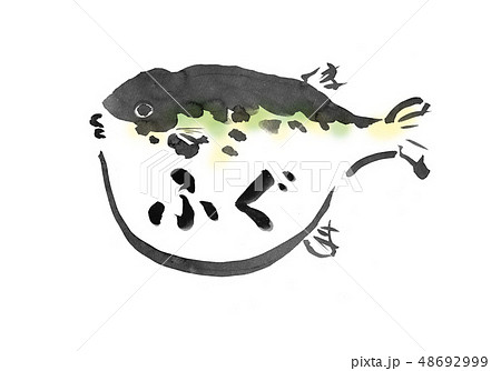 フグ　ふぐ　河豚　トラフグ　タイトル　看板　文字　手書き　手描き　筆書き　筆描き 48692999
