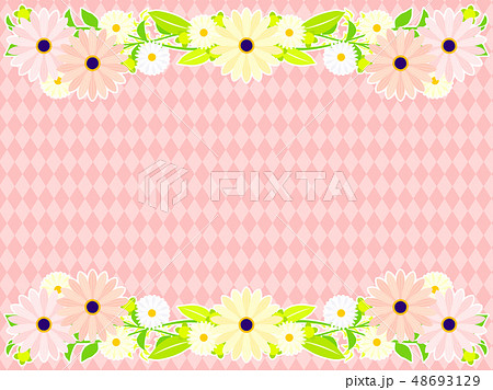 オステオスペルマムとマーガレットのフレーム オステオスペルマムとマーガレットのフレーム 48693129