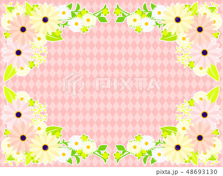 オステオスペルマムとマーガレットのフレーム オステオスペルマムとマーガレットのフレーム 48693130