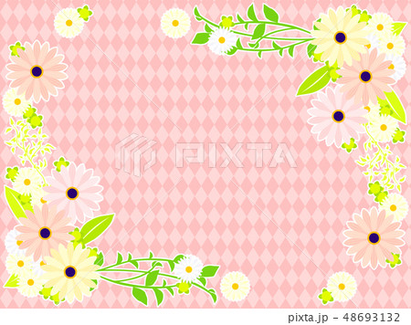 オステオスペルマムとマーガレットのフレーム 48693132
