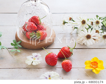 イチゴ ナチュラルアンティーク風雑貨 48693174