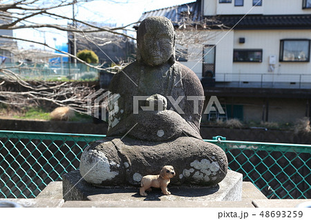 石仏と犬 石仏と犬 48693259