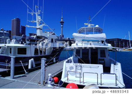 オークランドのスカイタワーとヴァイアダクト・ハーバー 48693343