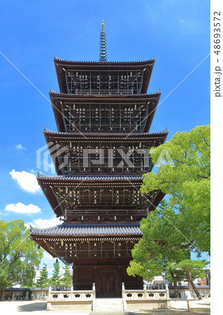 【香川県】晴天下の善通寺　五重塔 48693572