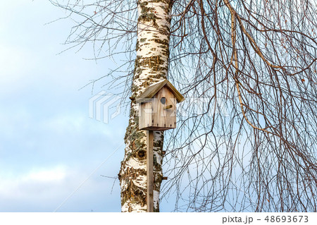 Nesting box on a tree Nesting box on a tree 48693673