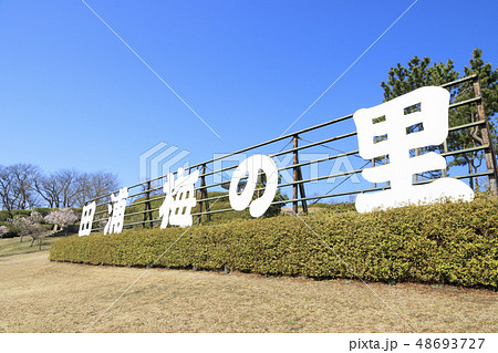 田浦梅園 48693727