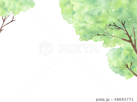 新緑の森林風景 背景 フレーム 水彩 イラストのイラスト素材