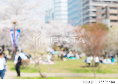 サクラ 桜 そめいよしの コピースペース 文字スペース サクラ 桜 そめいよしの コピースペース 文字スペース 48694488