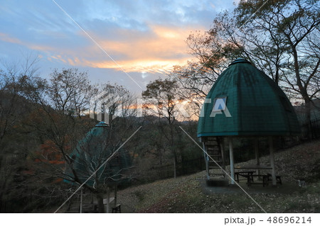 キャンプ場 48696214