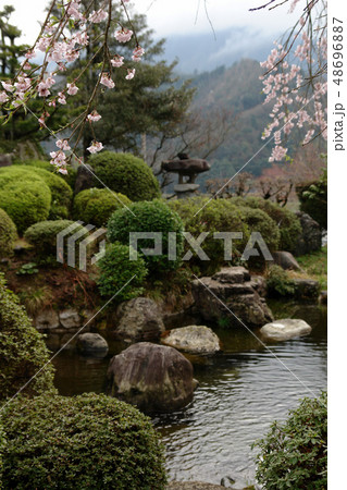 鳥取 四季の散歩 春 東光寺 鳥取 四季の散歩 春 東光寺 48696887