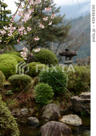 鳥取 四季の散歩 春 東光寺 鳥取 四季の散歩 春 東光寺 48696890