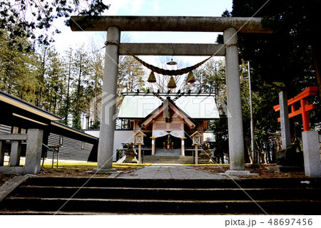 長沼町長沼神社の鳥居と参道 長沼町長沼神社の鳥居と参道 48697456