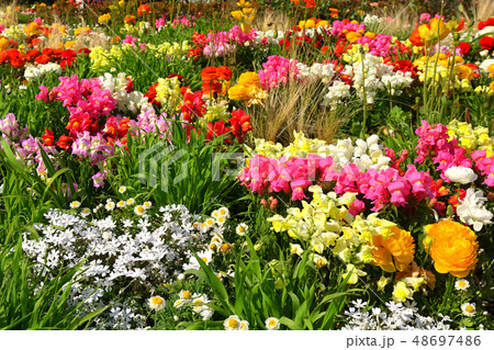 横浜・港の見える丘公園 横浜・港の見える丘公園 48697486