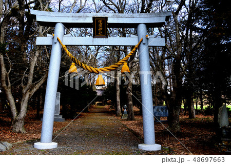 長沼町幌内神社の鳥居と参道 長沼町幌内神社の鳥居と参道 48697663