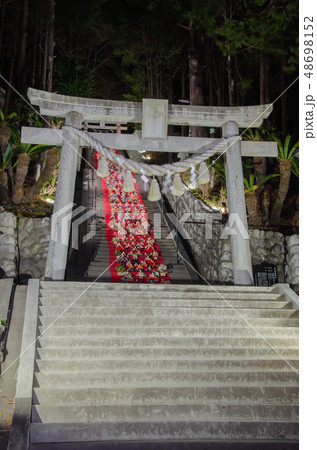 伊豆稲取のライトアップされた素盞嗚（スサノオ）神社雛段飾り 48698152