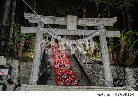 伊豆稲取のライトアップされた素盞嗚(スサノオ)神社雛段飾り 伊豆稲取のライトアップされた素盞嗚(スサノオ)神社雛段飾り 48698154