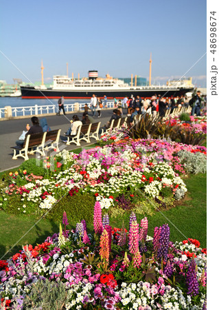 横浜・山下公園 48698674