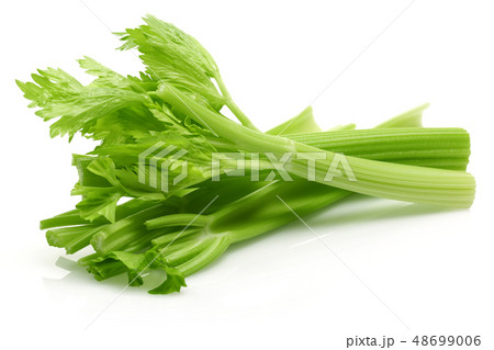 Fresh celery stalks and leaves isolated 48699006