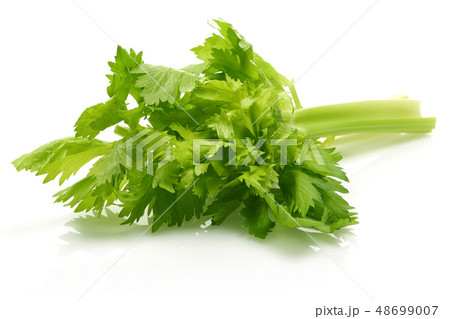 Fresh celery stalks and leaves isolated 48699007