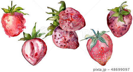 Strawberry healthy food in a watercolor style isolated. Watercolor background set. Isolated berry Strawberry healthy food in a watercolor style isolated. Watercolor background set. Isolated berry 48699097