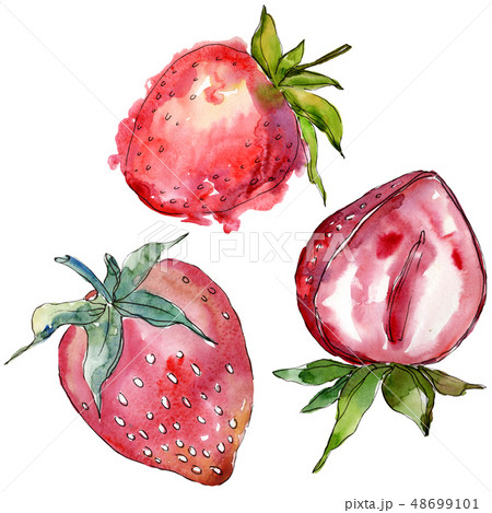 Strawberry healthy food in a watercolor style isolated. Watercolor background set. Isolated berry Strawberry healthy food in a watercolor style isolated. Watercolor background set. Isolated berry 48699101