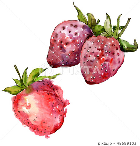 Strawberry healthy food in a watercolor style isolated. Watercolor background set. Isolated berry Strawberry healthy food in a watercolor style isolated. Watercolor background set. Isolated berry 48699103