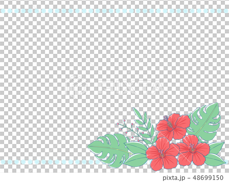 Hibiscus frame Hibiscus frame 48699150