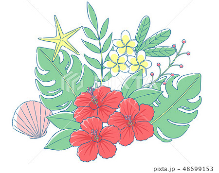 南国植物のイラスト素材
