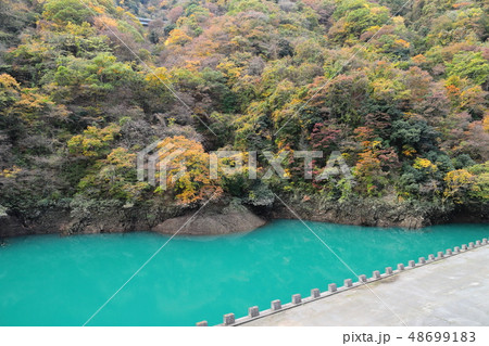 紅葉の宮ヶ瀬 石小屋湖 紅葉の宮ヶ瀬 石小屋湖 48699183