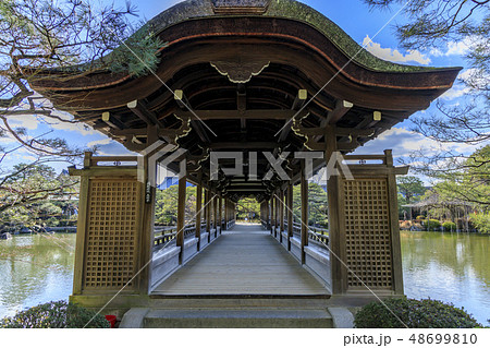 平安神宮　早春　梅 48699810