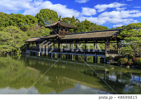 平安神宮 早春 梅の写真素材