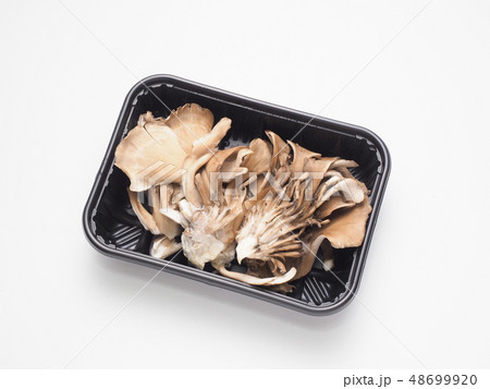 まいたけ まいたけ 48699920