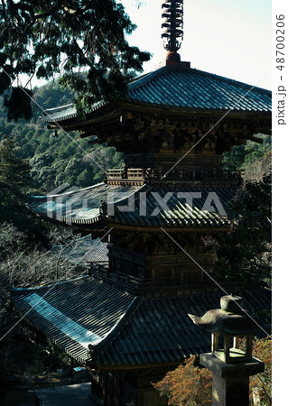 一乗寺　三重塔　兵庫 48700206