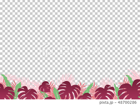 Tropical plant frame 48700286
