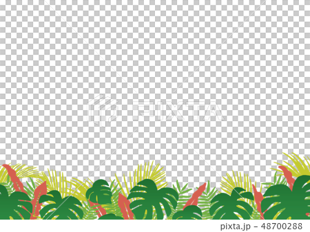 熱帯の植物のフレーム 48700288