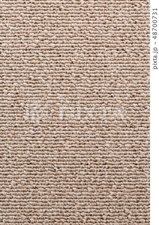 カーペット 48700731